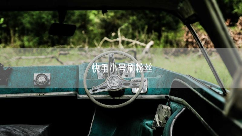 快手小号刷粉丝