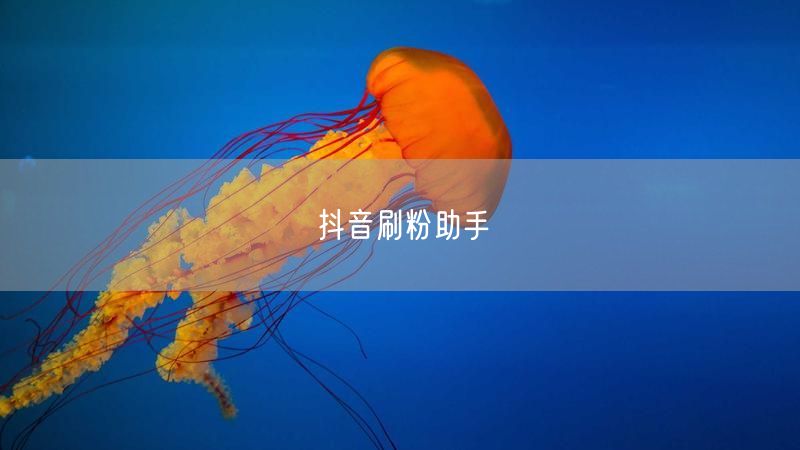 抖音刷粉助手
