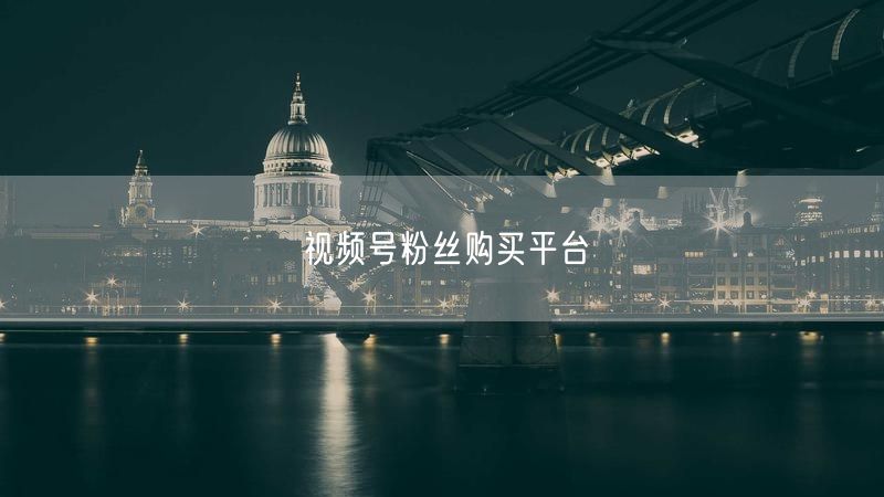 视频号粉丝购买平台