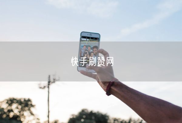 快手刷赞网