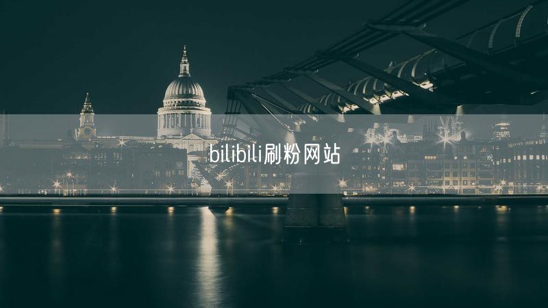bilibili刷粉网站