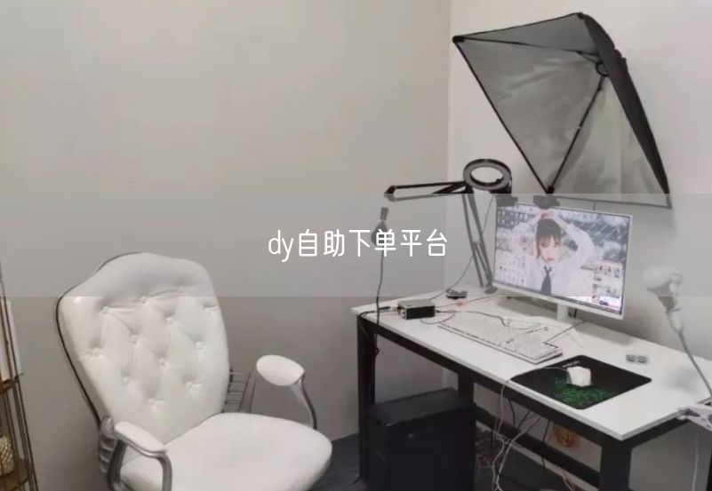 dy自助下单平台