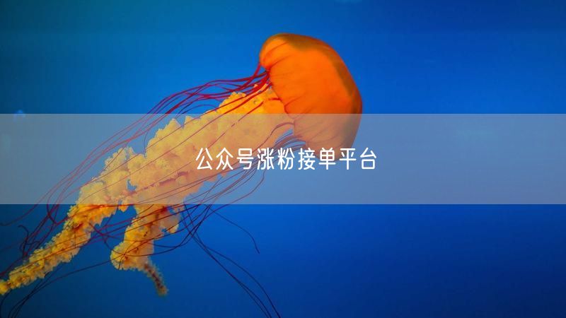 公众号涨粉接单平台