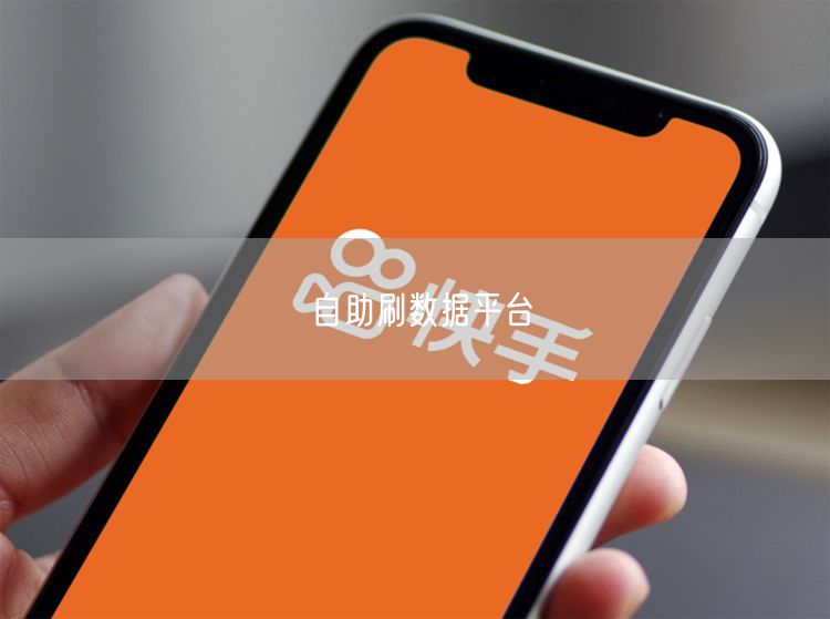 自助刷数据平台