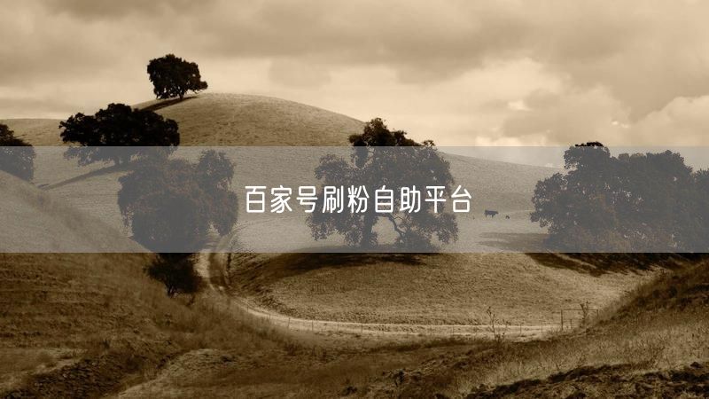 百家号刷粉自助平台