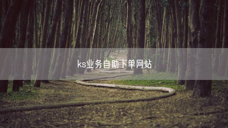 ks业务自助下单网站