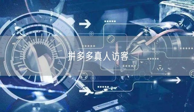 拼多多真人访客