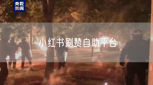 小红书刷赞自助平台