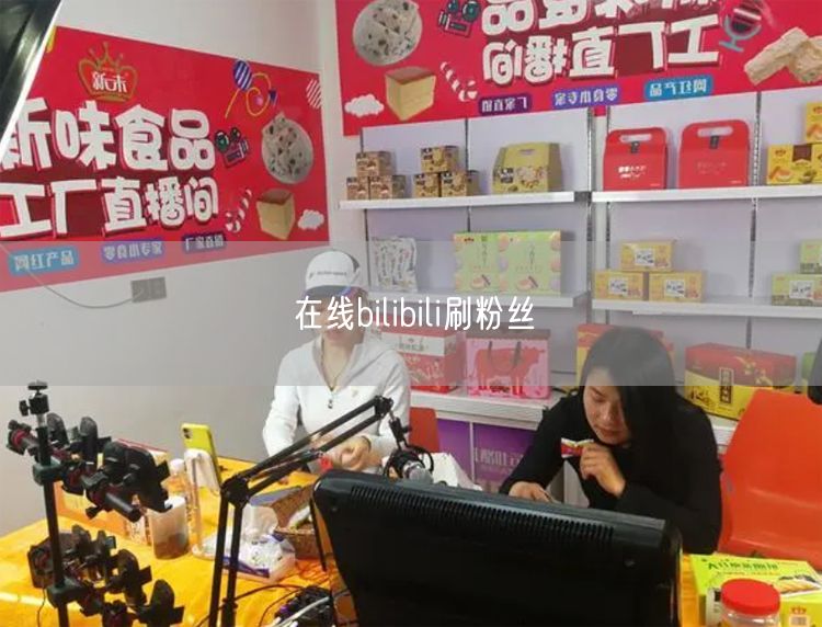 在线bilibili刷粉丝