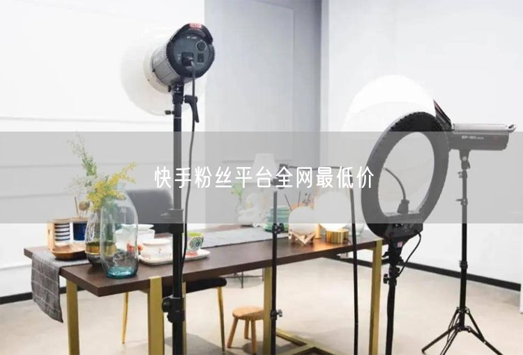 快手粉丝平台全网最低价