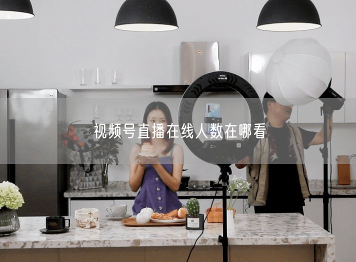 视频号直播在线人数在哪看