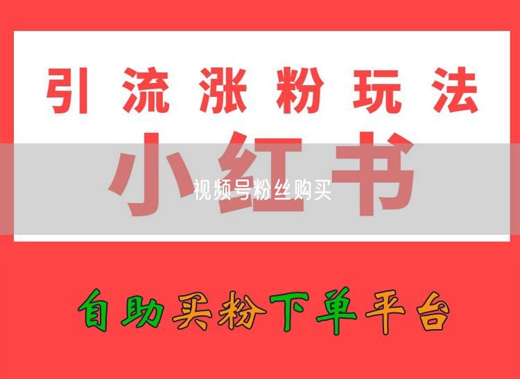 视频号粉丝购买