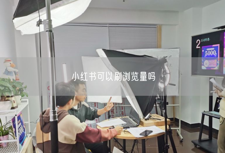 小红书可以刷浏览量吗