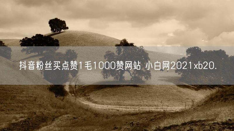 抖音粉丝买点赞1毛1000赞网站 小白网2021xb20.㏄