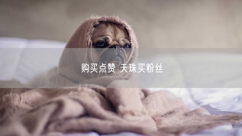 购买点赞 天珠买粉丝