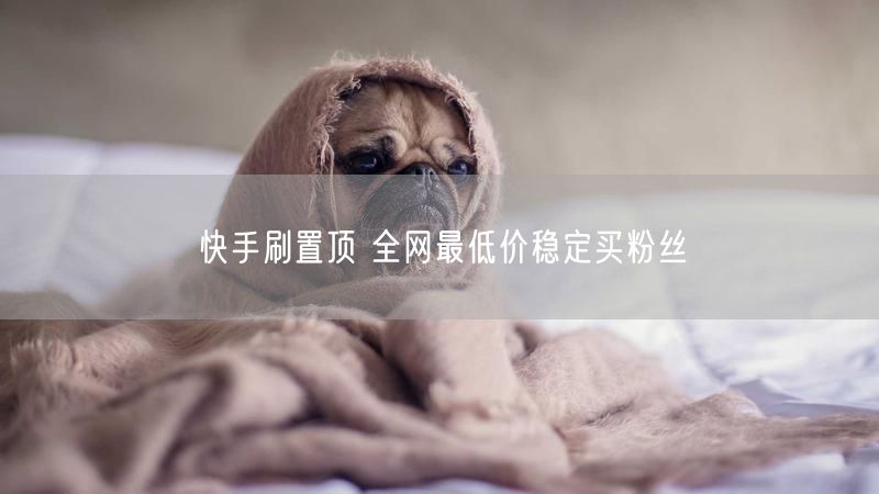 快手刷置顶 全网最低价稳定买粉丝