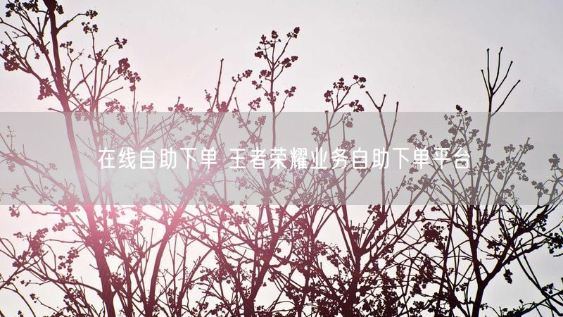 在线自助下单 王者荣耀业务自助下单平台