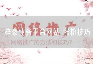 梓豪业务平台网站 涨粉技巧