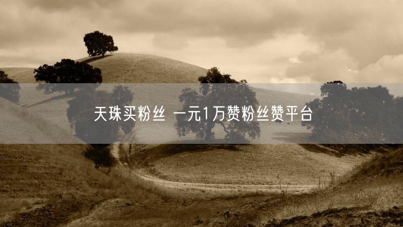 天珠买粉丝 一元1万赞粉丝赞平台
