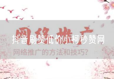 抖音刷赞低价小柯秒赞网