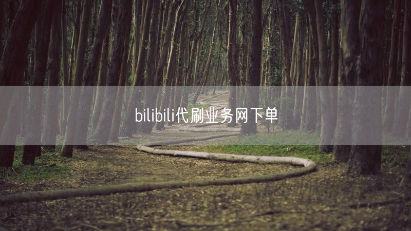 bilibili代刷业务网下单