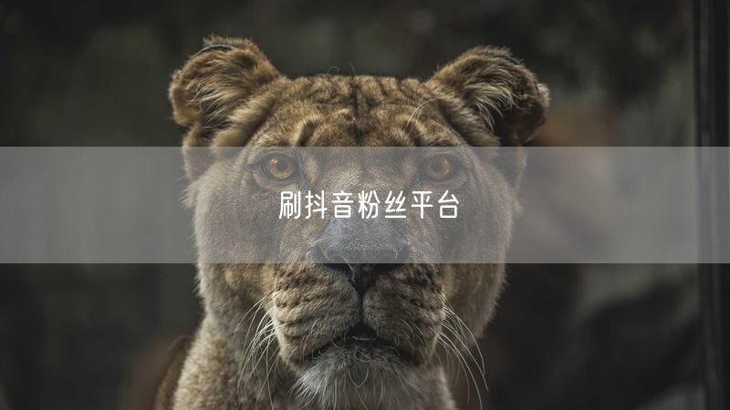 刷抖音粉丝平台