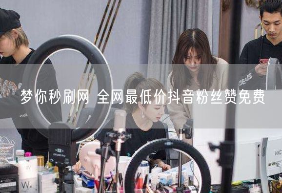 梦你秒刷网 全网最低价抖音粉丝赞免费