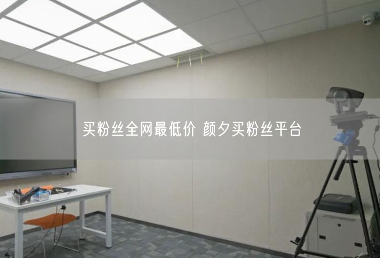 买粉丝全网最低价 颜夕买粉丝平台