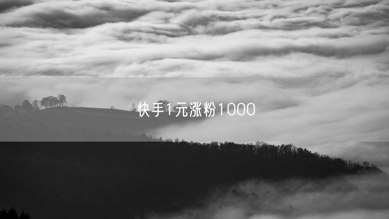快手1元涨粉1000