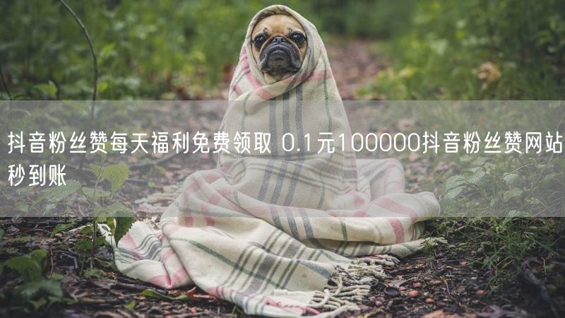 抖音粉丝赞每天福利免费领取 0.1元100000抖音粉丝赞网站秒到账
