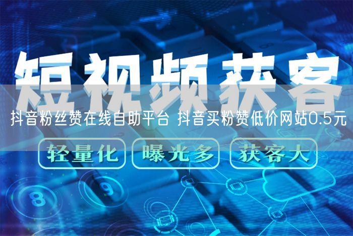 抖音粉丝赞在线自助平台 抖音买粉赞低价网站0.5元