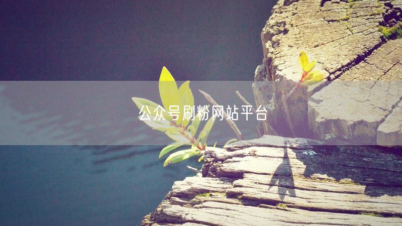 公众号刷粉网站平台