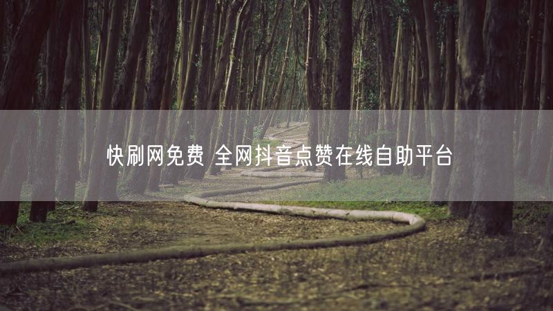 快刷网免费 全网抖音点赞在线自助平台