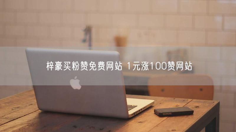 梓豪买粉赞免费网站 1元涨100赞网站