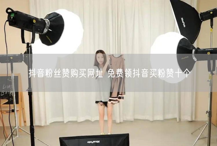 抖音粉丝赞购买网址 免费领抖音买粉赞十个