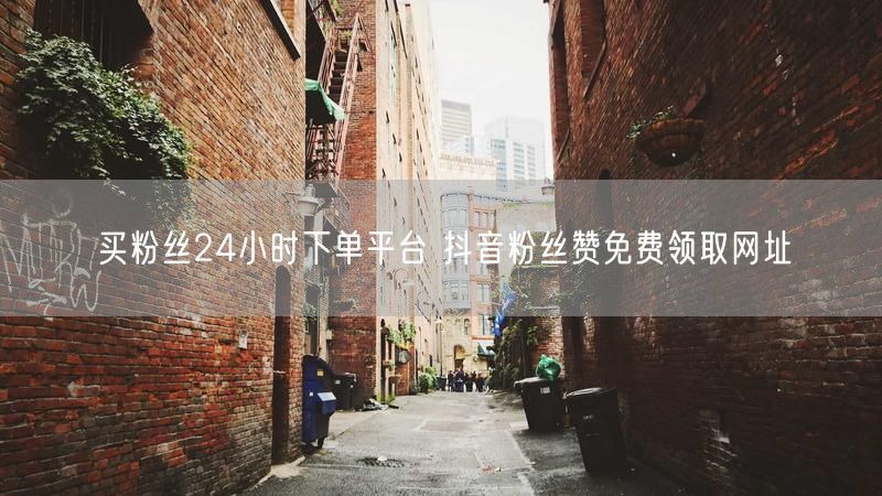 买粉丝24小时下单平台 抖音粉丝赞免费领取网址