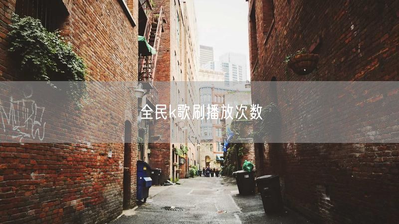 全民k歌刷播放次数