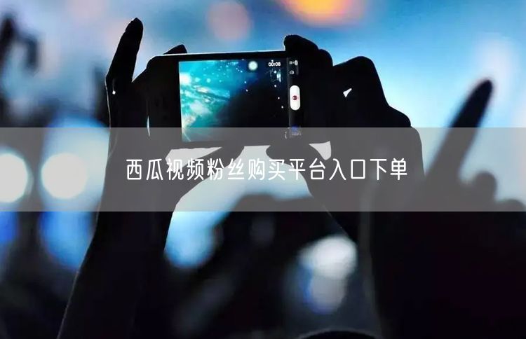 西瓜视频粉丝购买平台入口下单