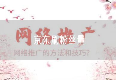 京东刷粉丝量
