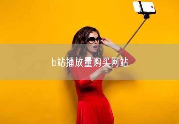 b站播放量购买网站