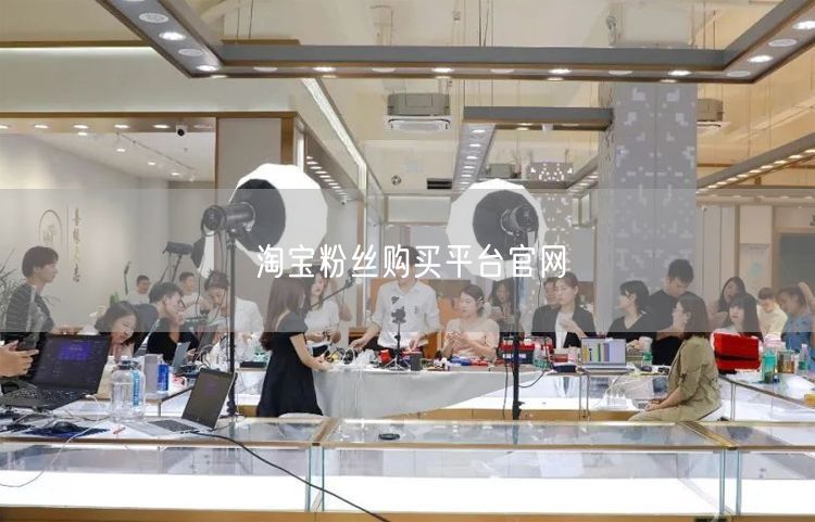 淘宝粉丝购买平台官网