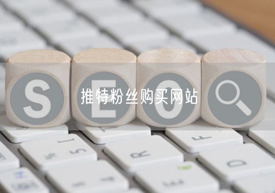 推特粉丝购买网站