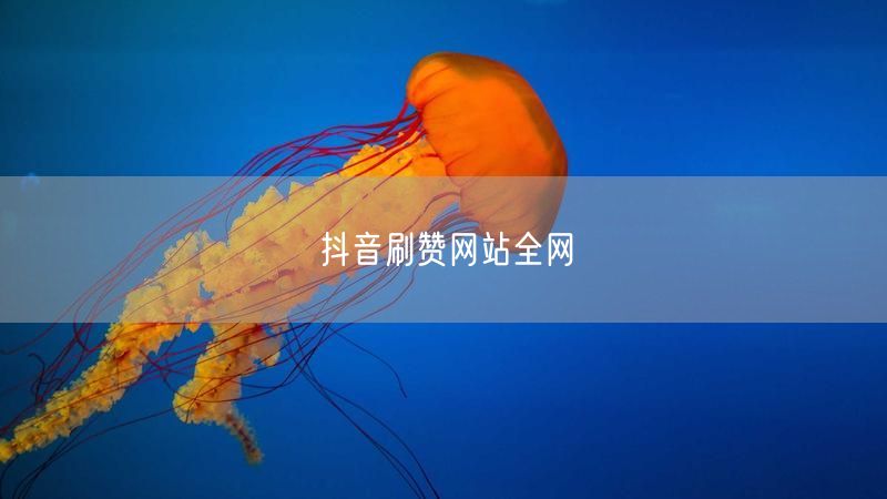 抖音刷赞网站全网