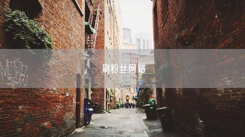 刷粉丝网站