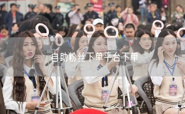 自助粉丝下单平台下单