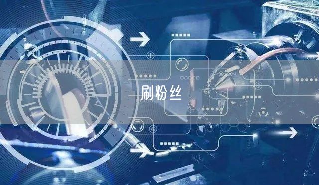 刷粉丝