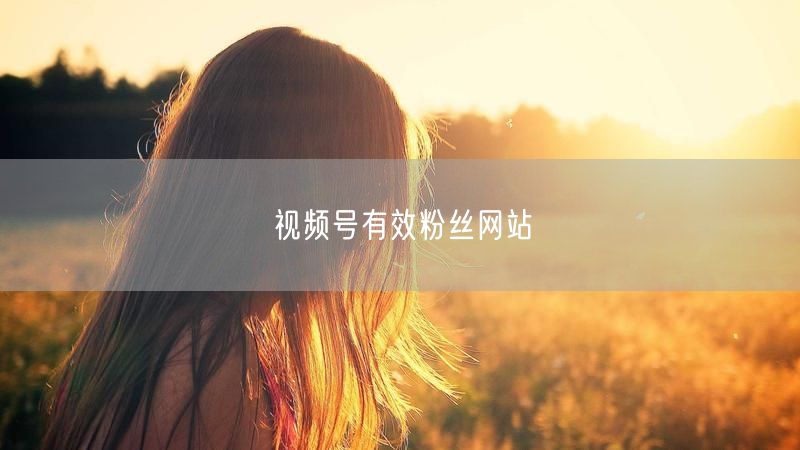视频号有效粉丝网站