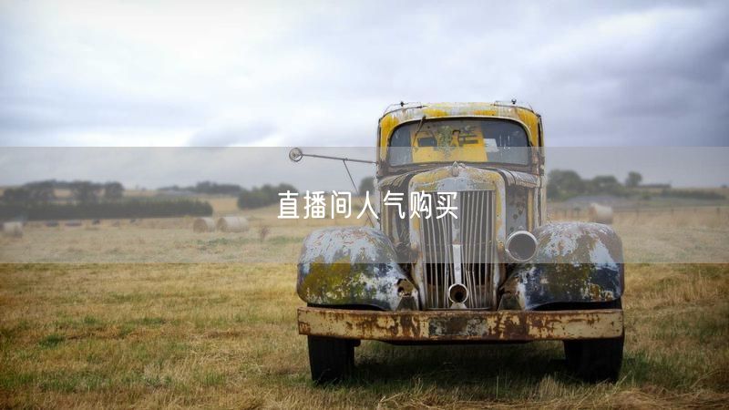 直播间人气购买