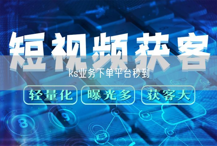 ks业务下单平台秒到