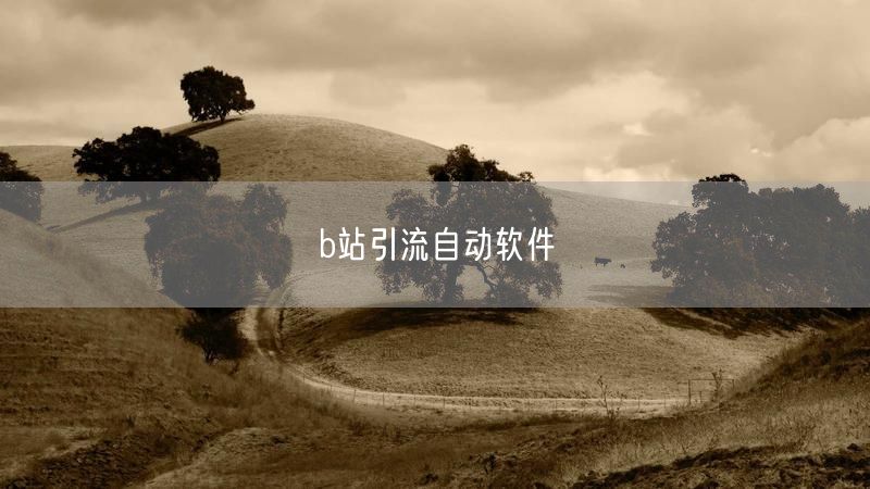 b站引流自动软件